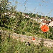 Le bourg depuis la route de Cayrols